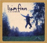 I'll Be Lightning Lyrics Liam Finn