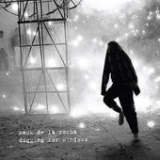 Digging for Windows (Single) Lyrics Zack de la Rocha