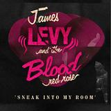 Sneak Into My Room (EP) Lyrics James Levy And The Blood Red Rose