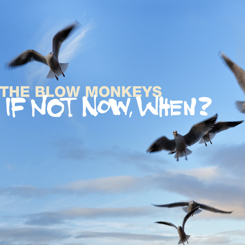 If Not Now, When Lyrics The Blow Monkeys