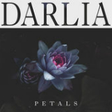 Petals Lyrics Darlia