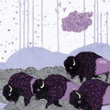 Plains of the Purple Buffalo Lyrics *Shels