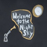 Welcome To The Night Sky Lyrics Wintersleep