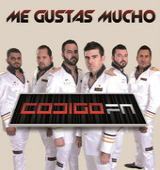 Me Gustas Mucho (Single) Lyrics Codigo FN