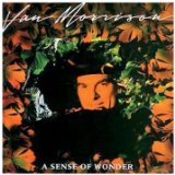 A Sense of Wonder Lyrics Morrison Van