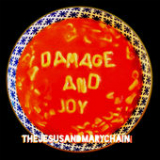 Damage and Joy Lyrics The Jesus and Mary Chain