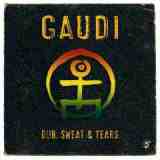 Dub, Sweat & Tears Lyrics Gaudi