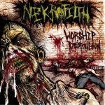 Worship Destruction Lyrics Nekrofilth