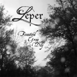 Beautiful Gray Day Lyrics Leper