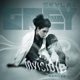 Invisible (Single) Lyrics Skylar Grey