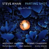 Parting Shot Lyrics Steve Khan