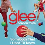 Somebody That I Used to Know (Single) Lyrics Glee Cast