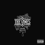 Vision Valley Lyrics Vines