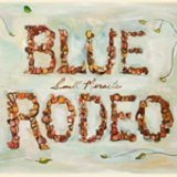 Small Miracles Lyrics Blue Rodeo