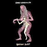 Shrink Dust Lyrics Chad VanGaalen