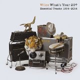 What's Your 20? Essential Tracks Lyrics Wilco