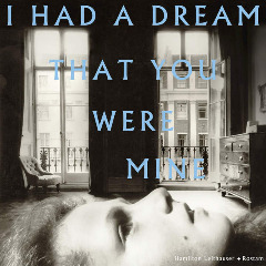 I Had A Dream That You Were Mine Lyrics Hamilton Leithauser + Rostam