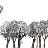 Here Comes The Rain - EP Lyrics The Ladybug Transistor