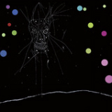 I Am the Last of All the Field That Fell: A Channel Lyrics Current 93
