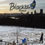 Blackbird Lyrics Emily Plazek
