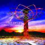 Tree Of Life Lyrics Roberto Cacciapaglia