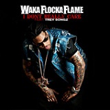 I Don't Really Care (Single) Lyrics Waka Flocka Flame